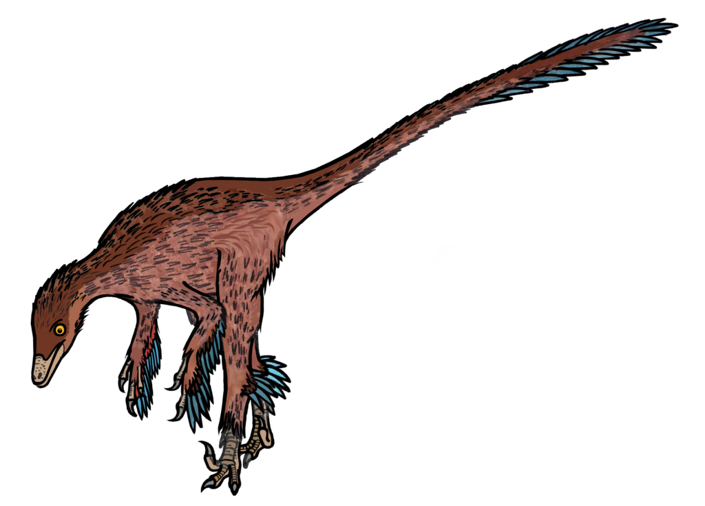 Troodon