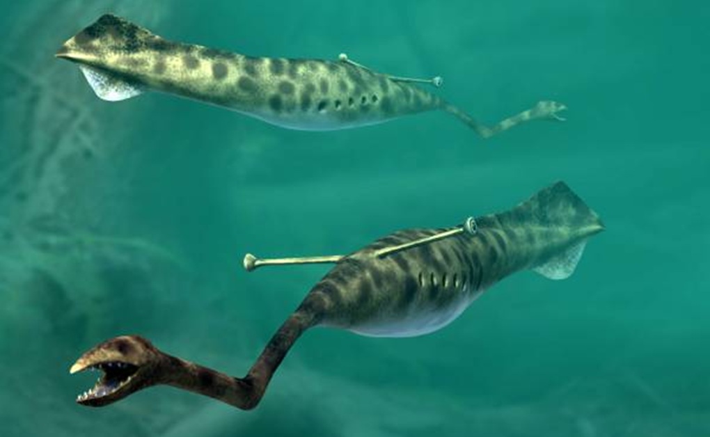 Tully Monster