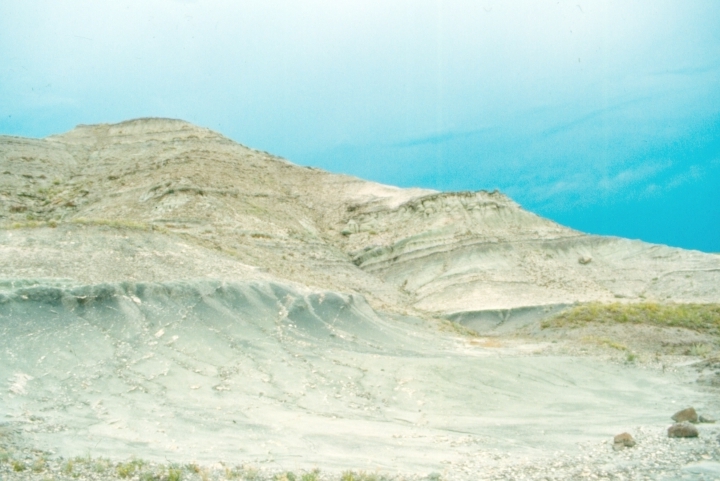 Exposure of the Two Medicine Formation near "Egg Mountain" in northern Montana