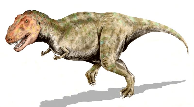 Illustration of a Tyrannosaurus rex in a dynamic pose. The dinosaur has textured skin with earthy tones, sharp teeth, and a powerful tail, evoking a sense of movement.