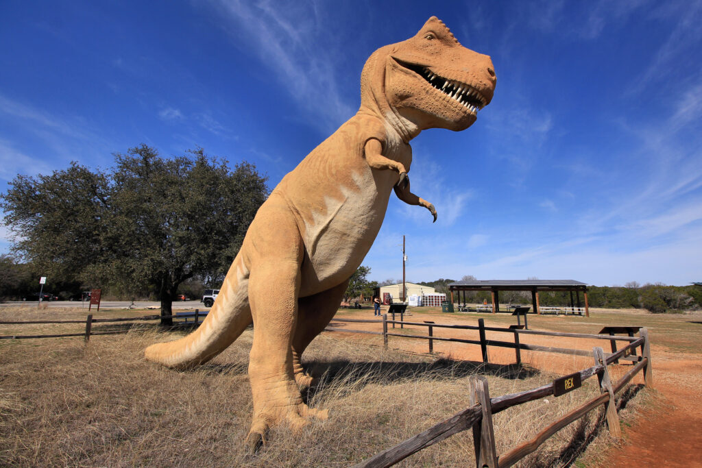 A large, realistic Tyrannosaurus rex sculpture stands in a grassy field, surrounded by wooden fences, under a clear blue sky. The setting feels playful and immersive.