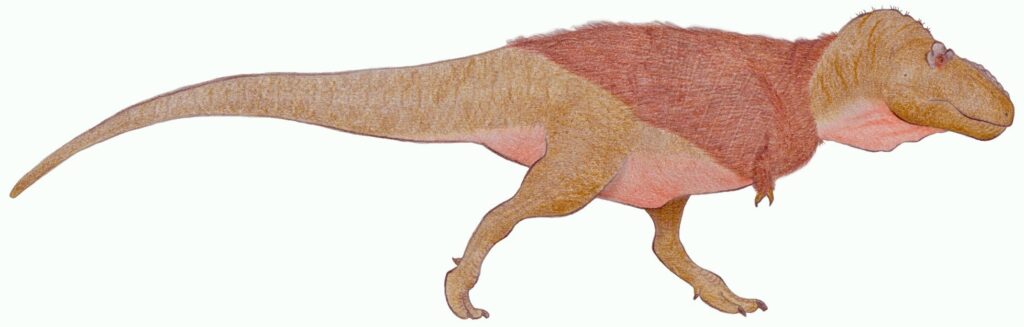 Illustration of a feathered dinosaur, resembling a T. rex, with brown and beige tones. It has a robust body, large head, and a long tail.