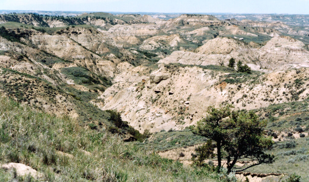Expansive view of the Badlands with rolling, rocky hills covered in sparse vegetation under a clear blue sky, conveying a sense of isolation and rugged beauty.