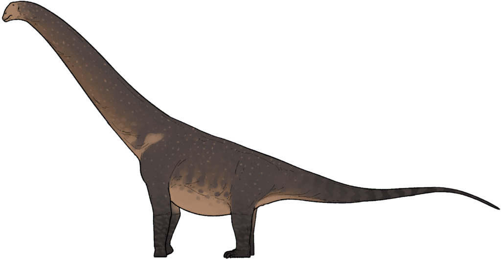 Illustration of a Brachiosaurus, a large, long-necked dinosaur with a small head and massive, pillar-like legs. It has a textured, brownish skin tone.