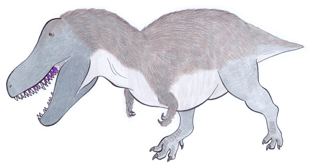 Illustration of a Tarbosaurus with a gray body, brown fur-like texture on its back, sharp teeth, and purple tongue. It appears fierce and powerful.