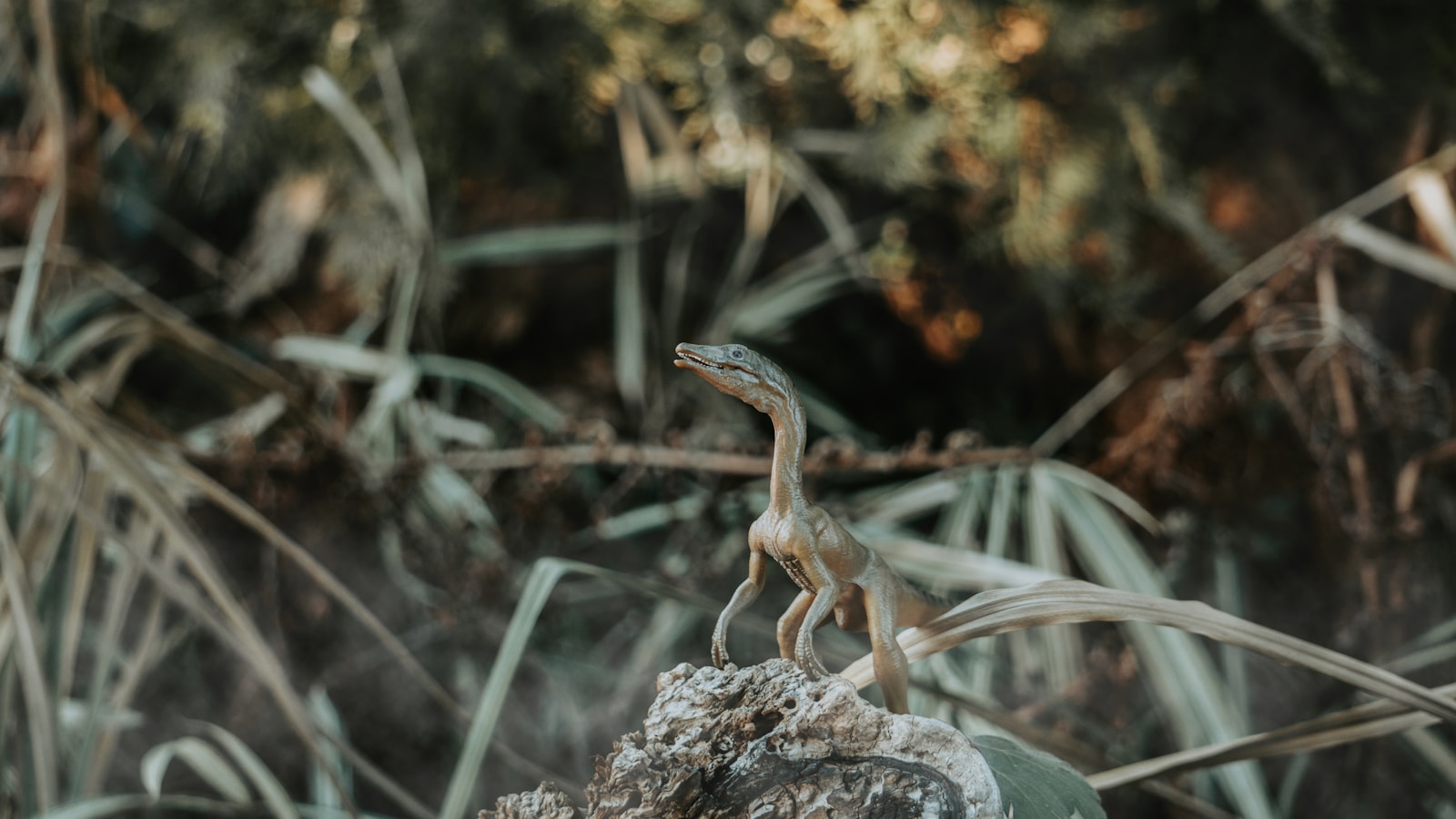 The Nostril Migration Mystery