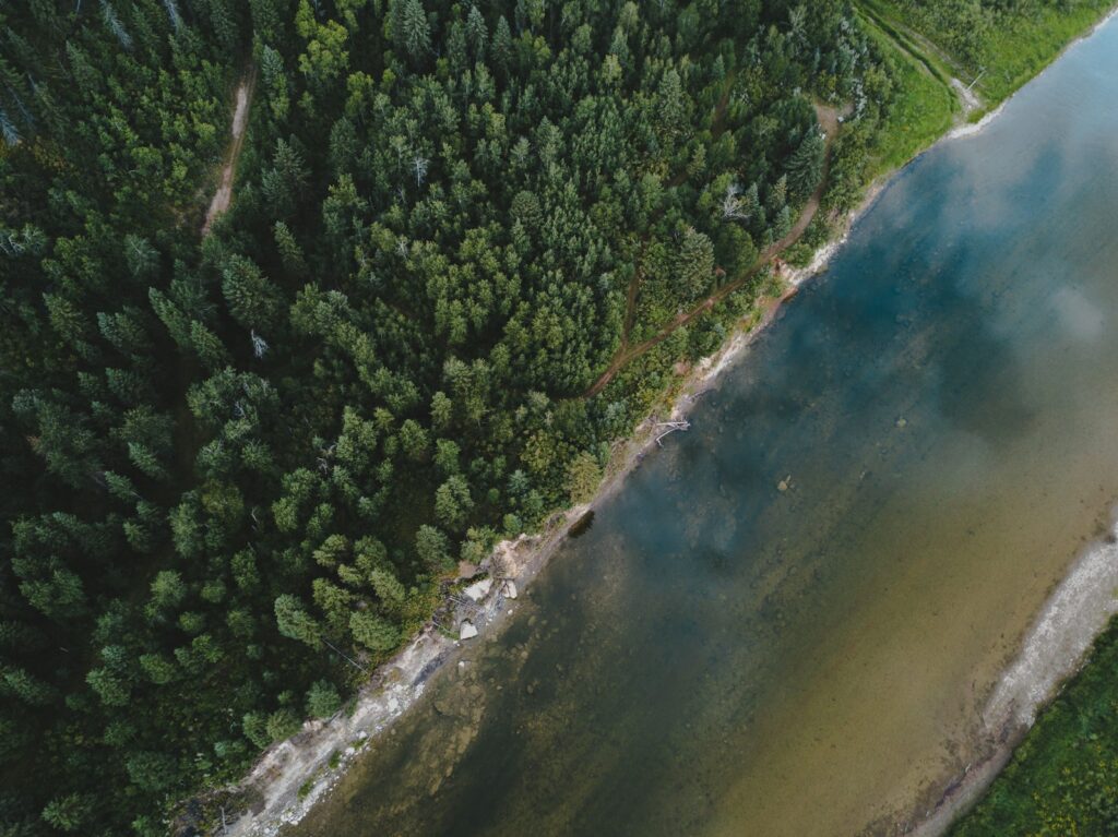 Aerial view of a dense green forest bordering a calm lake with clear, shallow waters. A narrow dirt path runs along the forest edge, conveying a serene, natural scene.