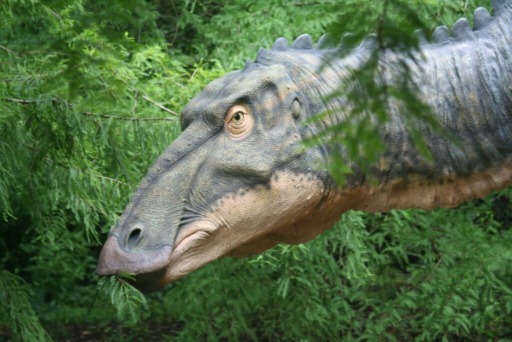 For decades, dinosaurs have been portrayed in popular culture as lumbering, dim-witted creatures whose brains struggled to control their massive bodies.