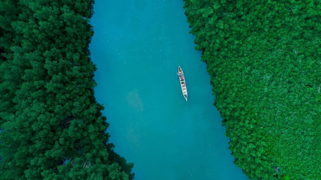 Aerial view of a narrow turquoise river flanked by dense green mangrove forests. A small boat with passengers floats centrally, evoking tranquility.