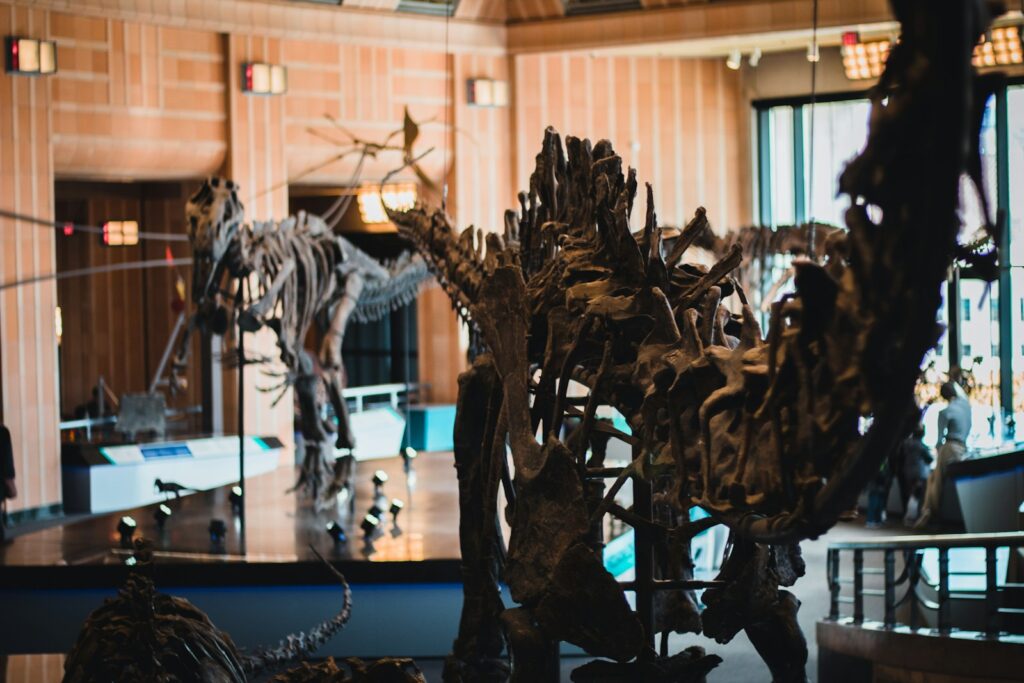 The Fighting Dinosaurs