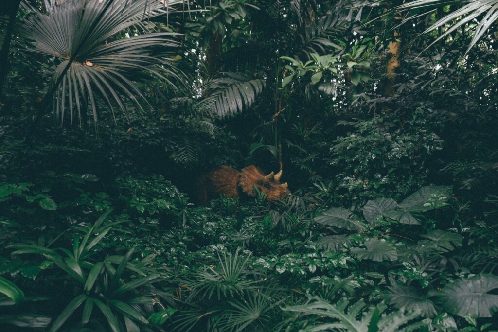 The Ecosystem Impact
