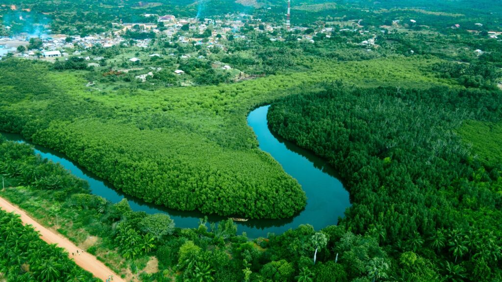 Aerial view of a lush green landscape featuring a winding river surrounded by dense forest and vegetation, with a small town visible in the background.