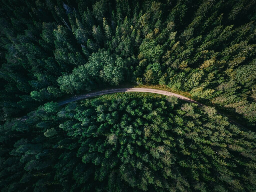 Aerial view of a lush forest with dense, vibrant green trees. A narrow, winding dirt path cuts through the foliage, creating a serene, natural landscape.