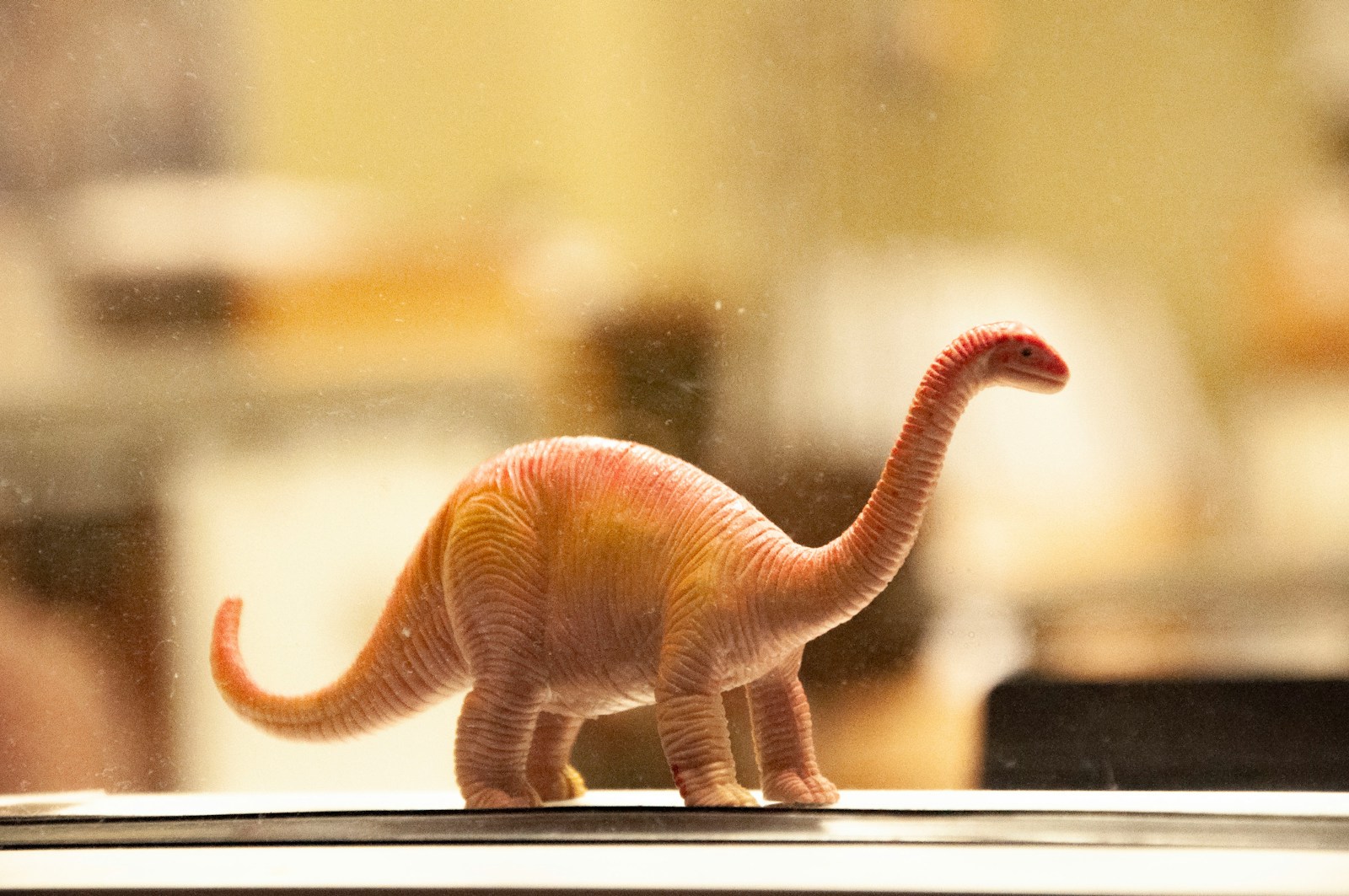 Brachiosaurus Vs Diplodocus Giant Differences Explained Dino World 