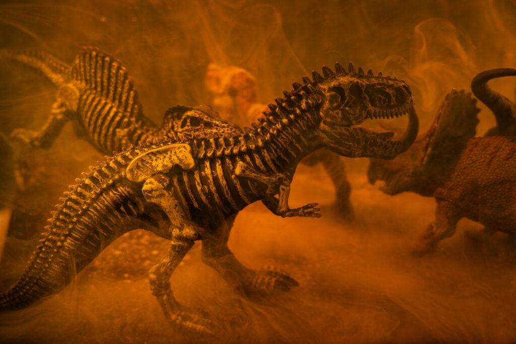 The Challenge of Studying Extinct Behaviors