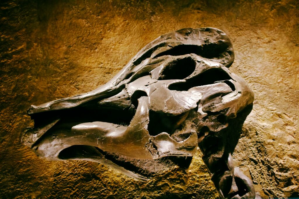 A large skull on a rock wall