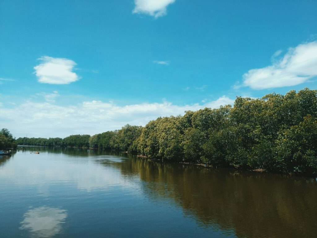 Calm river with reflections of fluffy clouds, bordered by lush green trees against a bright blue sky. The scene is serene and tranquil.