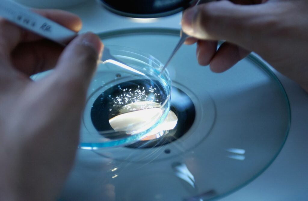 Future Research Directions