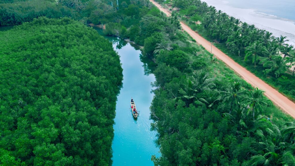 Aerial view of a narrow turquoise river winding through lush green mangroves, with a small boat in the center. A dirt road and palm trees border the scene, evoking a serene, tropical vibe.