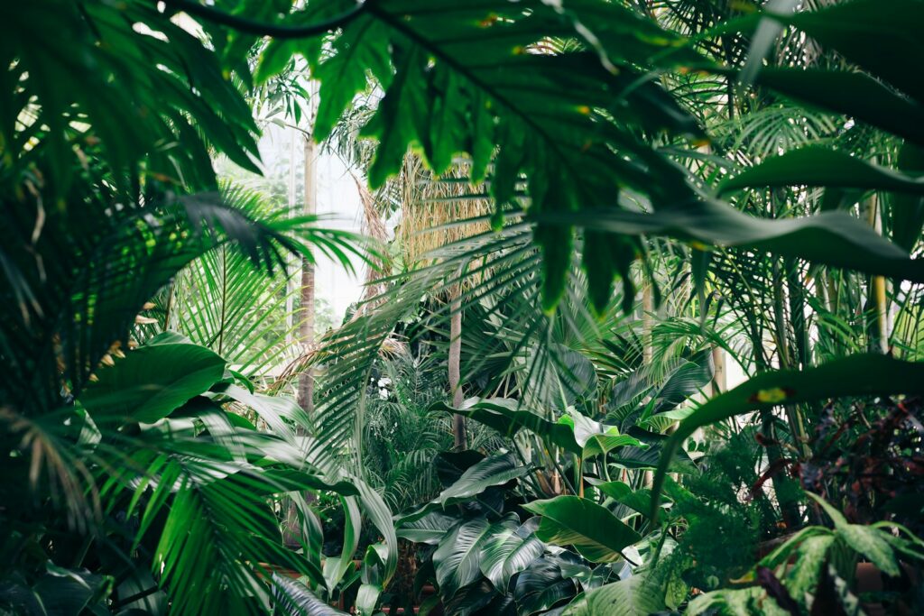 Jurassic Ecosystems