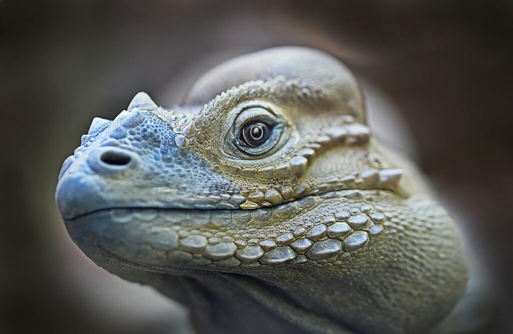 Dinosaurs Were Warm-Blooded