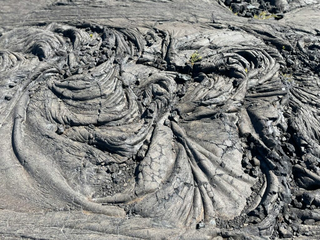 Volcanic Track Sites