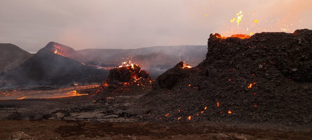 Evidence suggests that many dinosaurs could and did survive localized eruptions and even persisted through the early phases of massive flood basalt events like the Deccan Traps.
