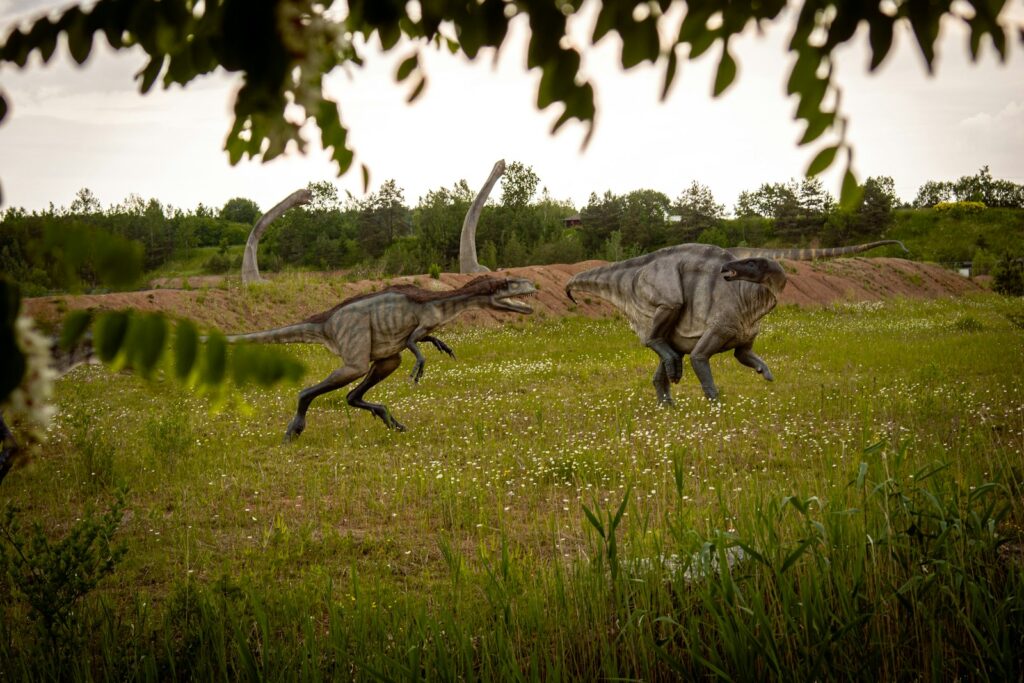 Pack Hunting Behavior