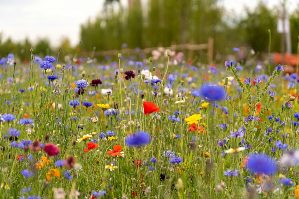 Modern plants could stump ancient herbivores—today’s angiosperms would challenge dinosaur digestion with new defenses and nutrients.
