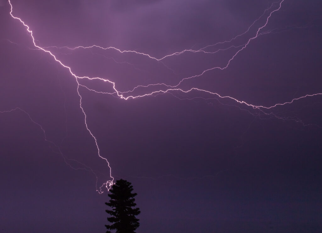 Bright lightning bolts streak across a dark purple sky, illuminating the silhouette of a solitary tree below, evoking a sense of power and awe.