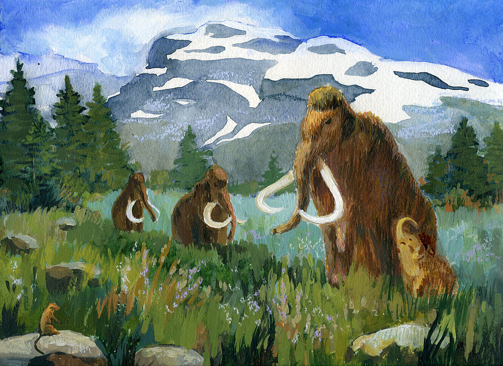 A Herd of Mammoths