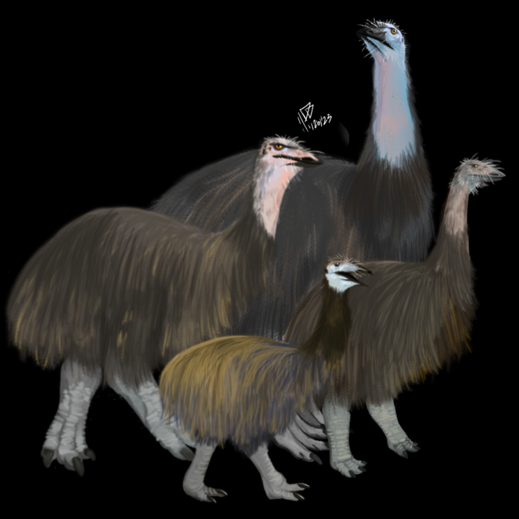 All 4 known species of the Aepyornithiformes