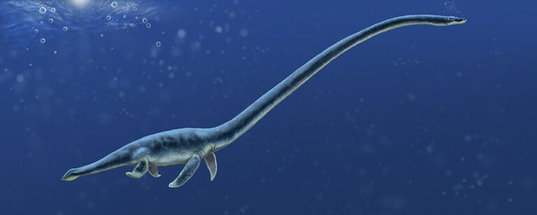 Elasmosaurus: The Long-Necked Wonder of the Ancient Seas – Dino World