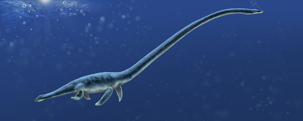 Albertonectes vanderveldei, a new elasmosaur