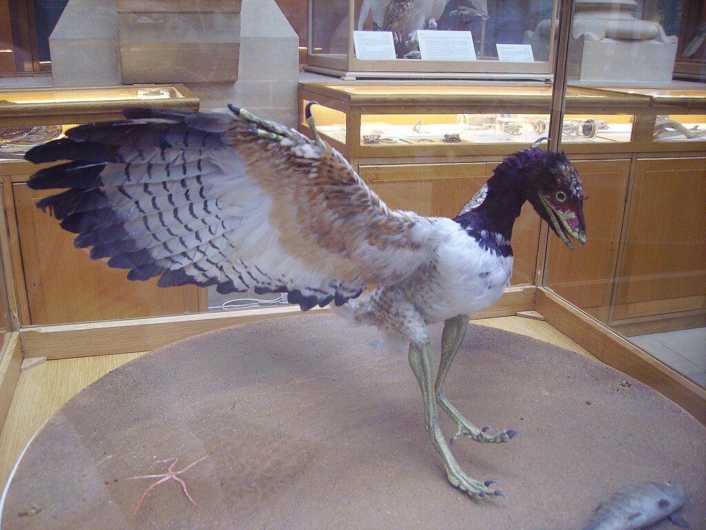 Archaeopteryx lithographica