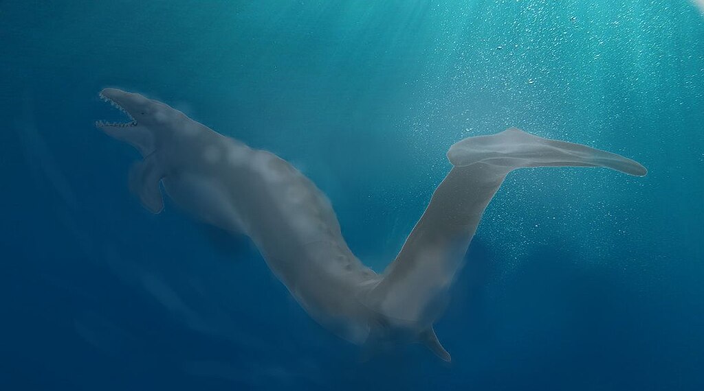 Basilosaurus near the surface.