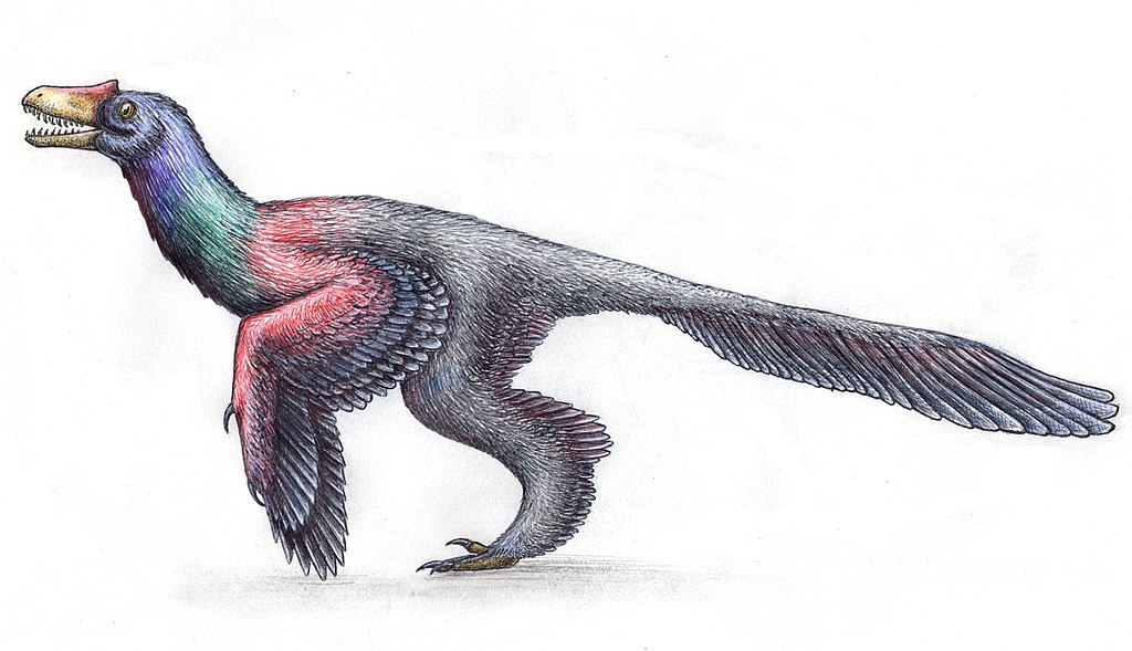 Caihong juji
