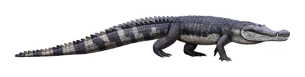Deinosuchus illustration Andrey Atuchin