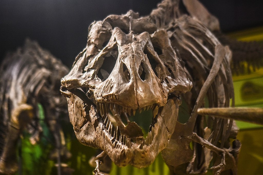 Dinosaur