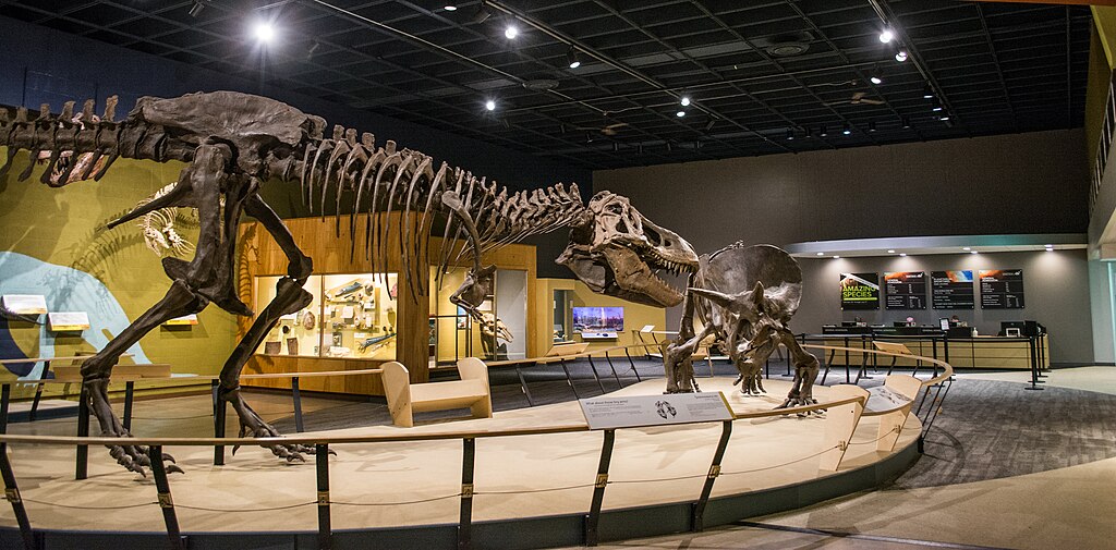 Dinosaur exhibit 03 - Cleveland Museum of Natural History