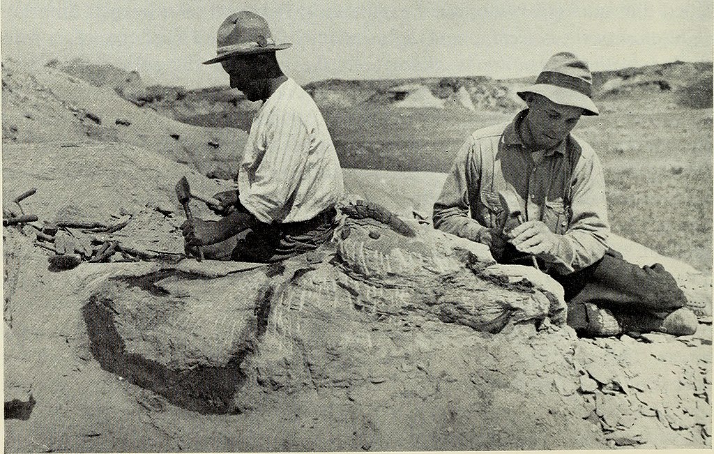 Dinosaur hunting in western Canada (1966)