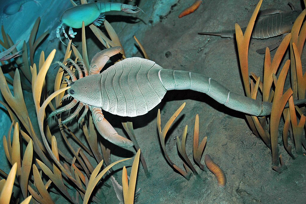 Diorama of a Silurian seafloor - eurypterids (sea scorpions), algae, phyllocarid