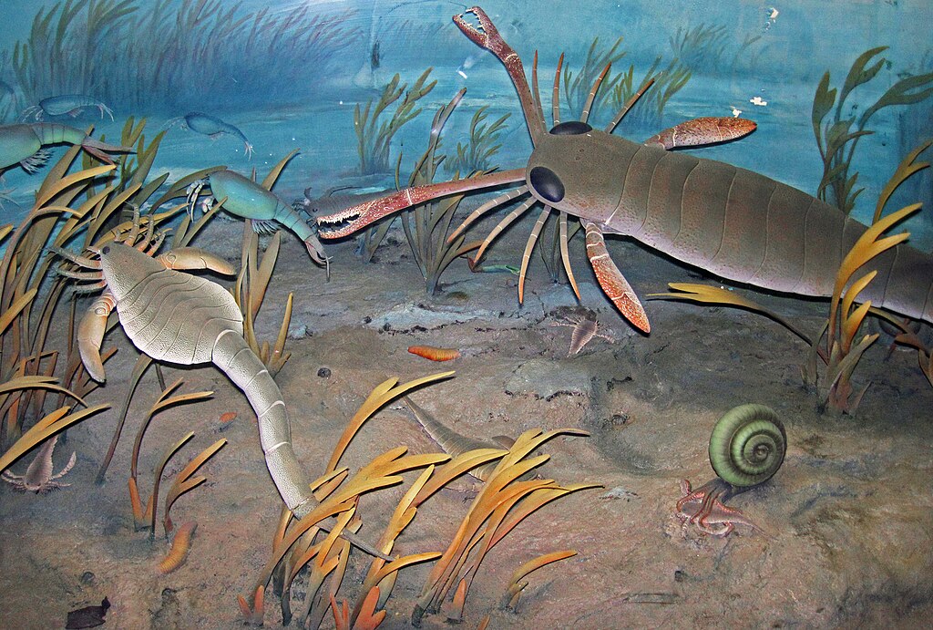 Diorama of a Silurian seafloor - eurypterids (sea scorpions), algae, phyllocarids, coiled cephalopod eating a eurypterid