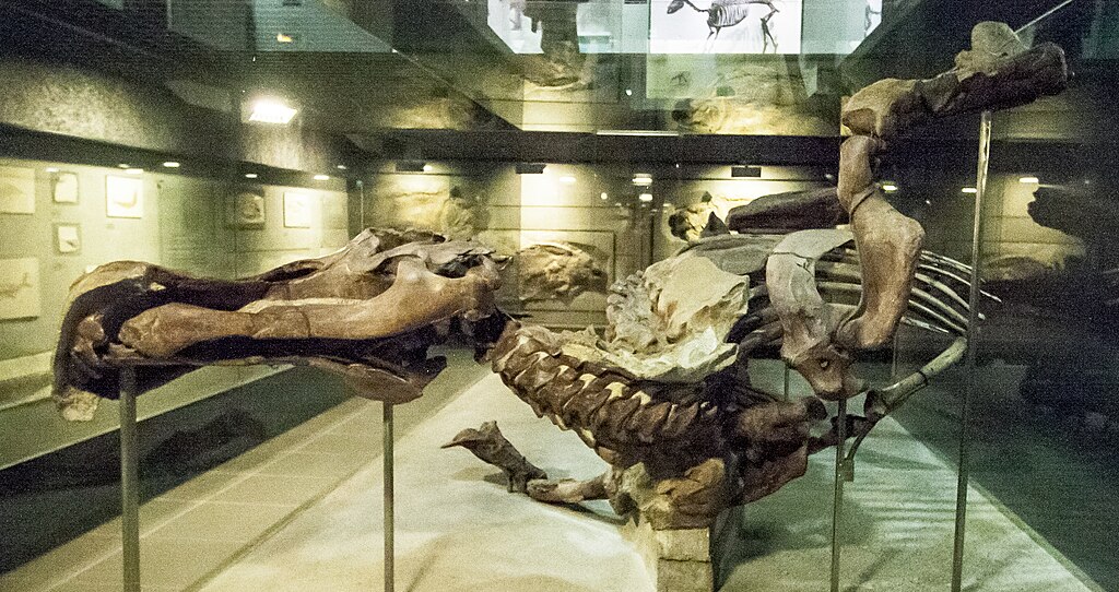 Edmontosaurus mummy SMF R 4036, Naturmuseum Senckenberg, Frankfurt am Main, Germany