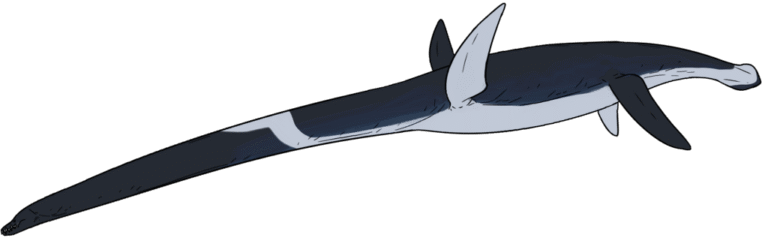 Elasmosaurus: The Long-Necked Wonder of the Ancient Seas – Dino World