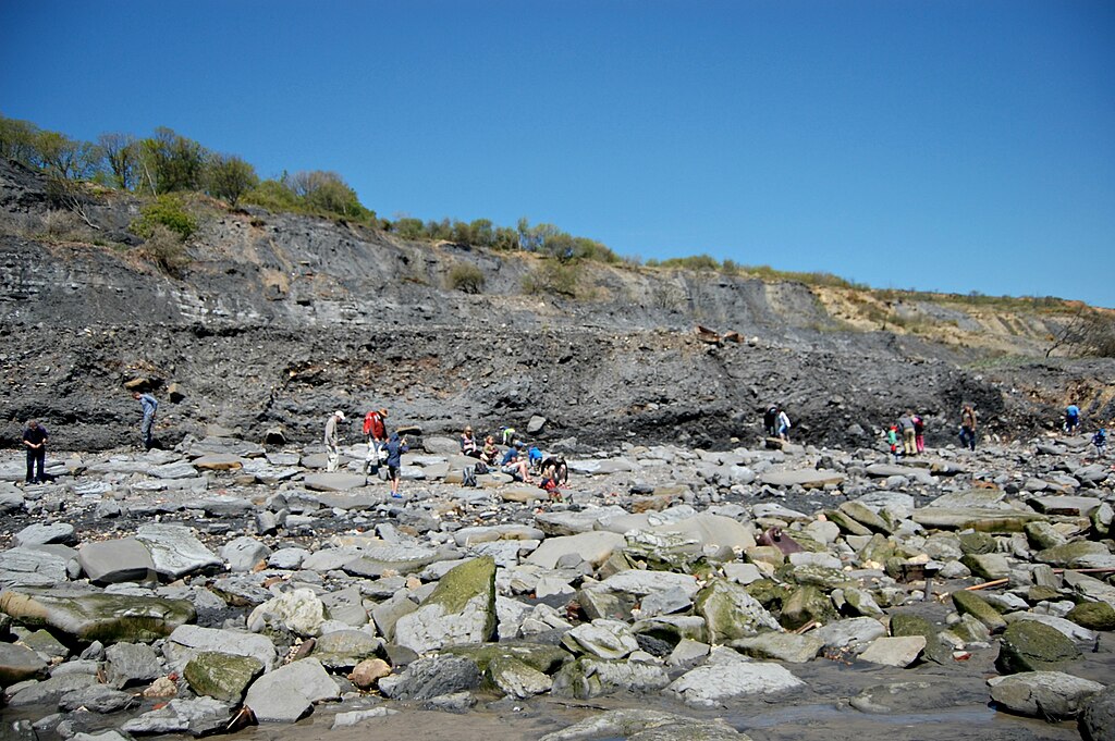 Fossil Hunters