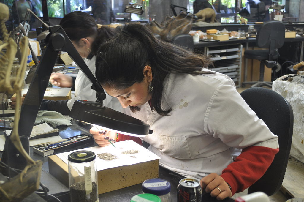 George C. Page Museum Paleontology Lab