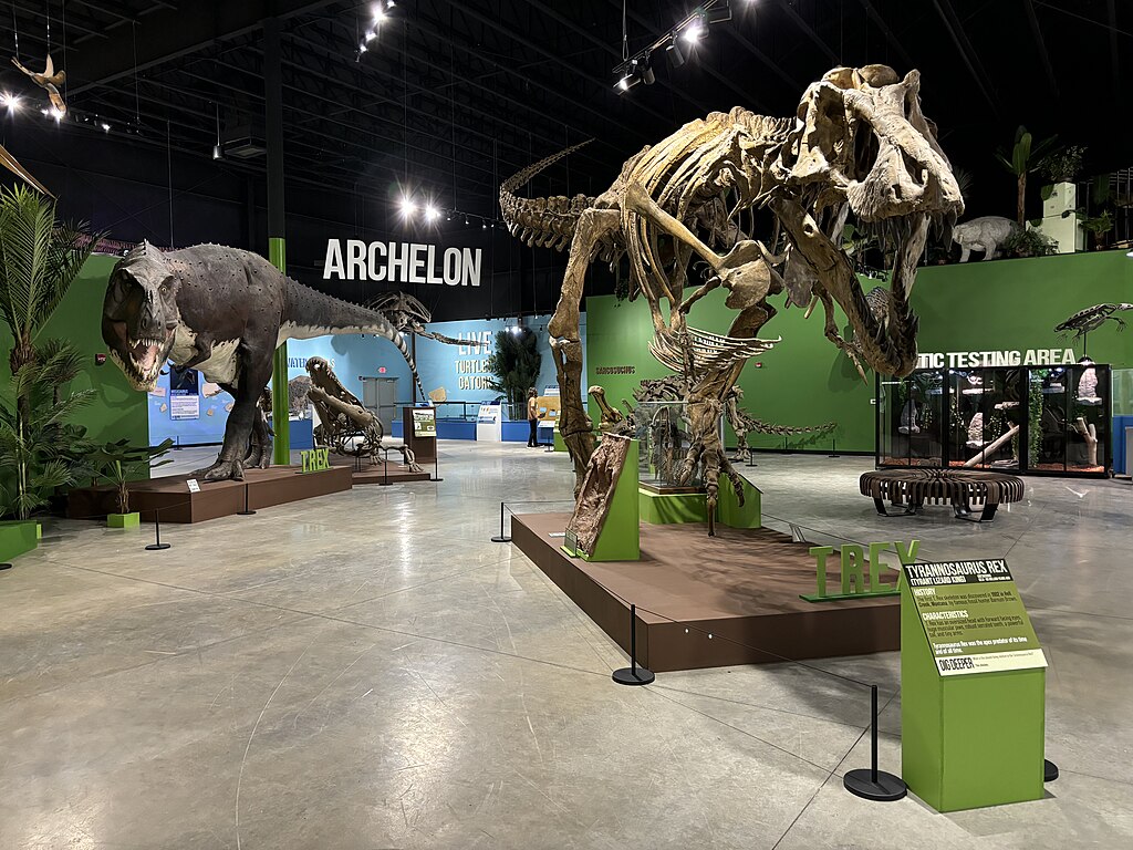 Indiana Dinosaur Museum Exhibits