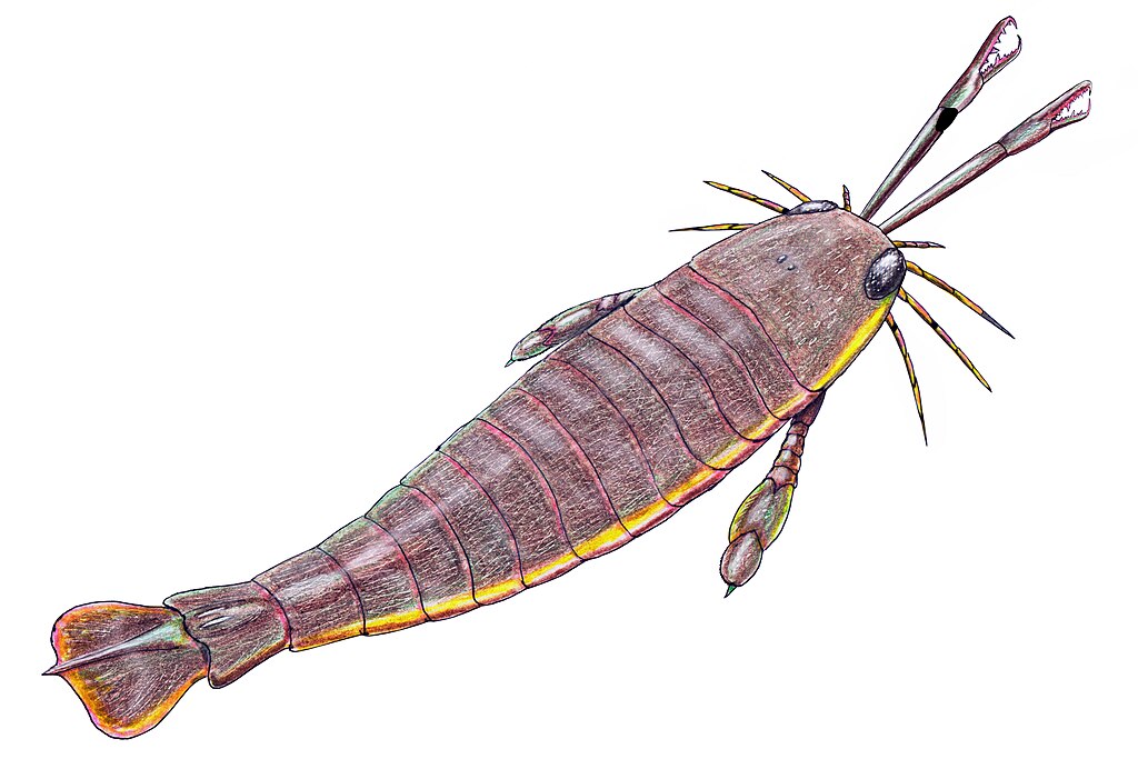 Jaekelopterus rhenaniae reconstruction