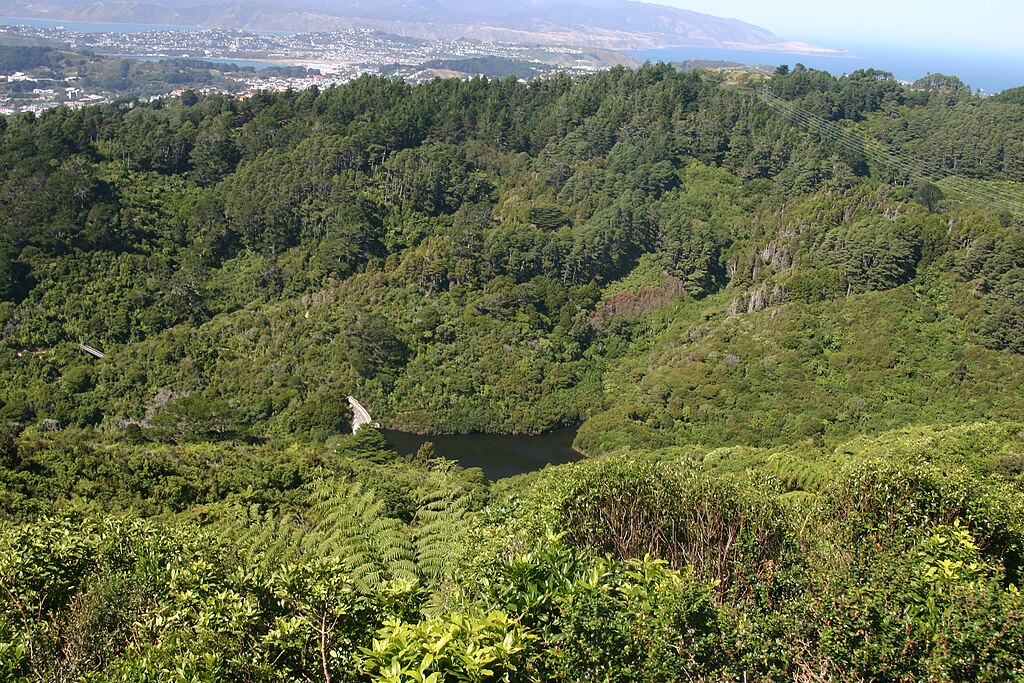 Karori reservoir from Wright's Hill, 2012. Wellington, New Zealand